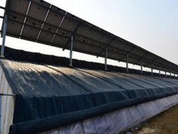 Photovoltaic greenhouse
