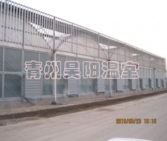 連棟溫室大棚