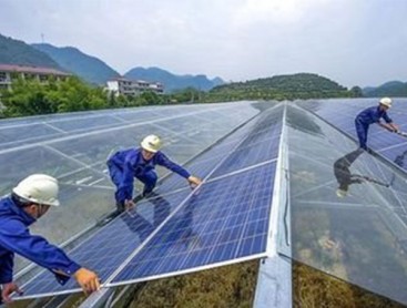 Photovoltaic greenhouse