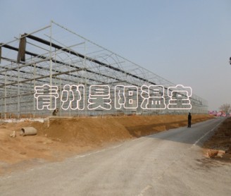 智能連棟膜溫室