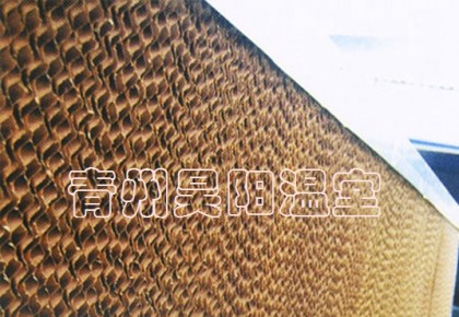 Water curtain